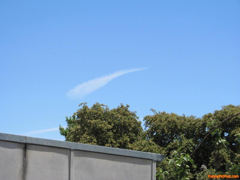 Kiwi  cloud