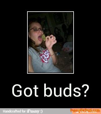 Buds ? as in little tits ?