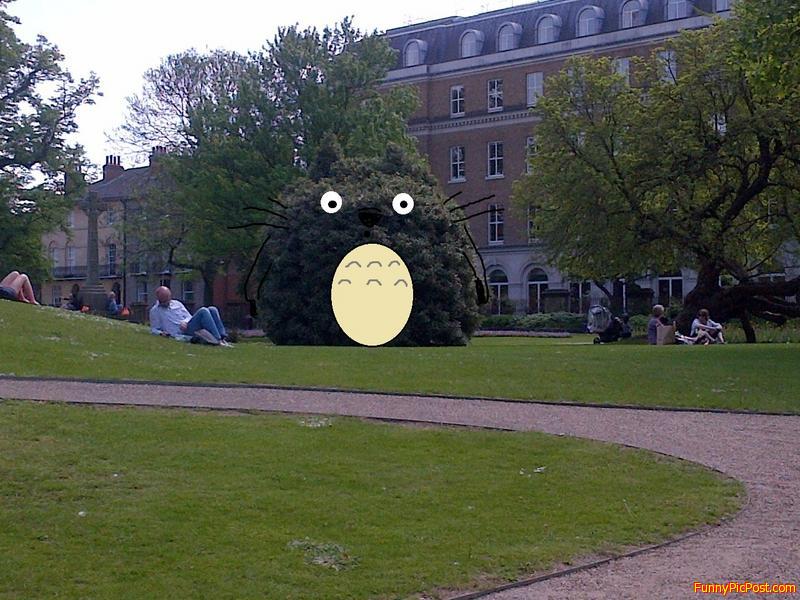 SPOTTED: Totoro in Reading