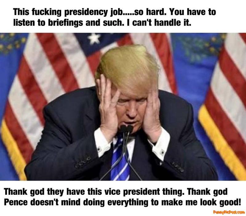 Idiot President