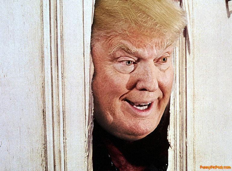 HERE'S DONNIE!