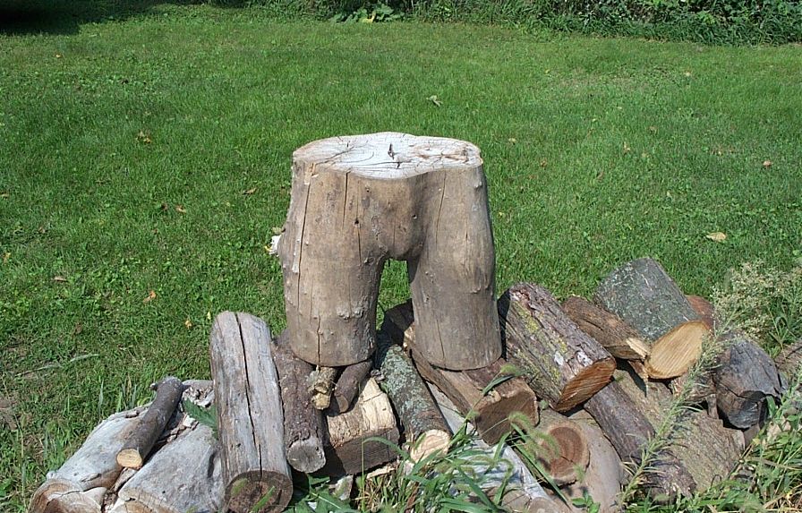 Look ! it's a Woody