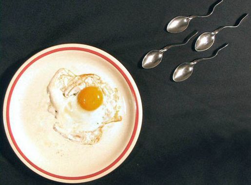 eggcell