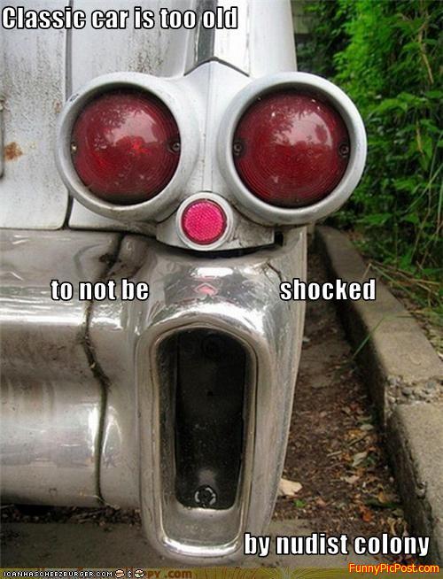 The  Scream