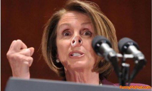 Nancy Pelosi "NOINKY PIGNOSI"