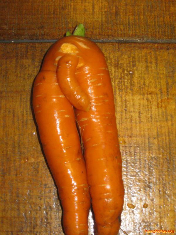 LOOK AT IT