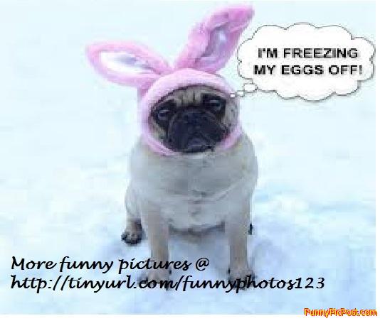 Funny Pic