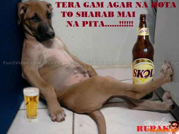 Funny Pic