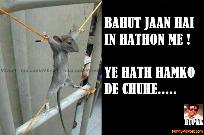 Funny Pic