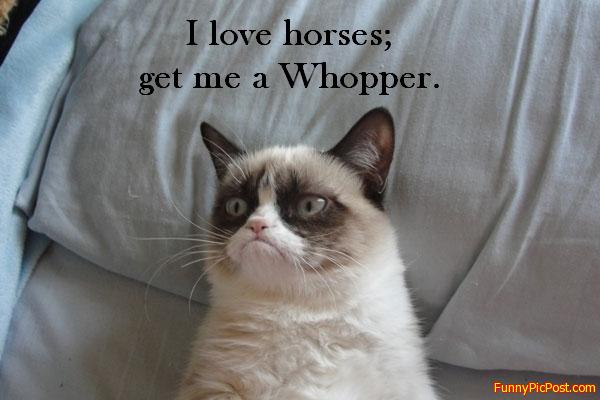 Funny Pic