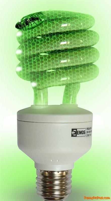 Snake Light Bulb