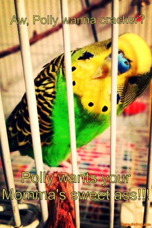 Funny Pic