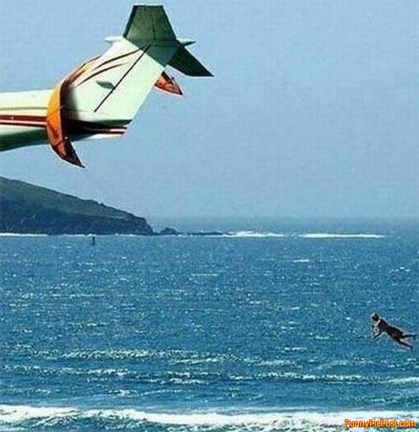 Unlucky Frequent Flyer
