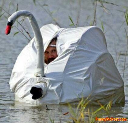 Duck  for  Cover