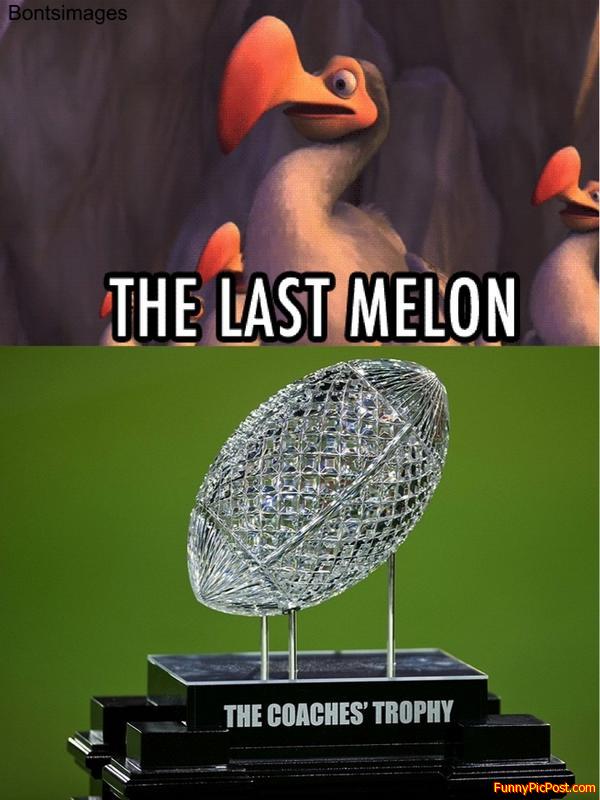 Funny Pic