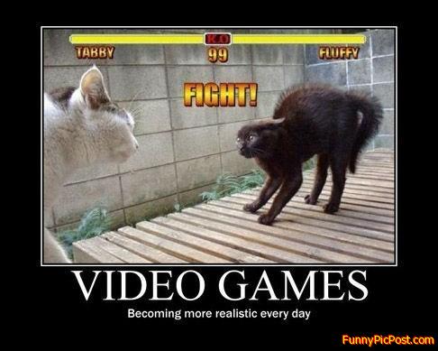 Funny Pic