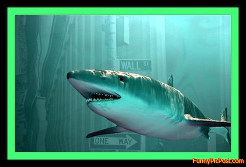 Sharks of Wall Street