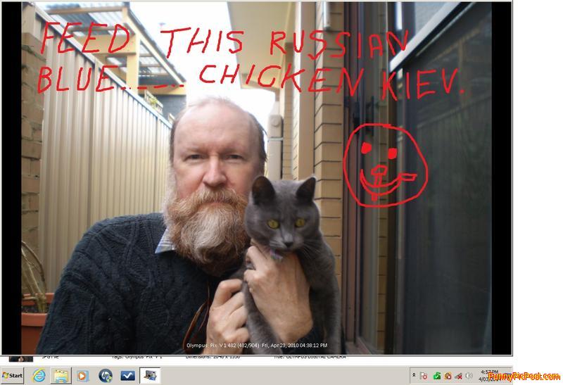 Russian  Blue  lives  next  door  to  Andy