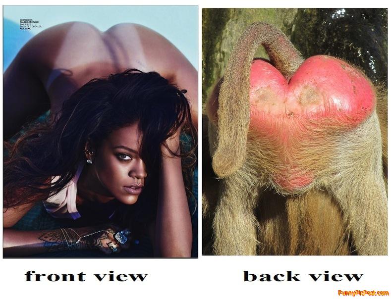 Funny Pic