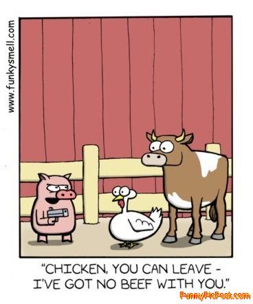 Funny Pic
