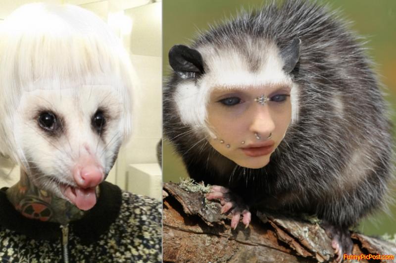epic face swap