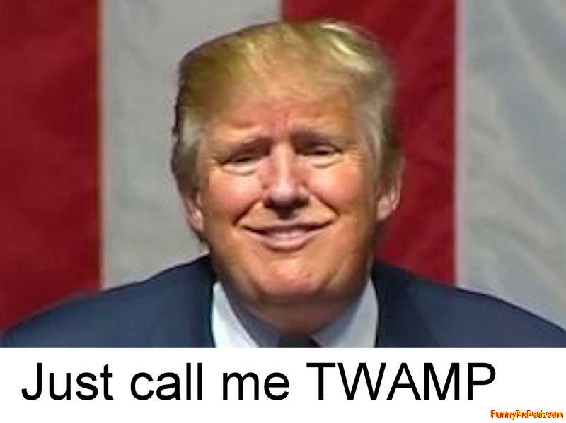 Twamp Face