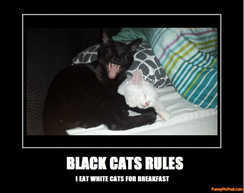 Funny Pic