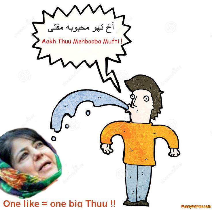 Funny Pic
