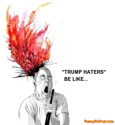 Funny Pic