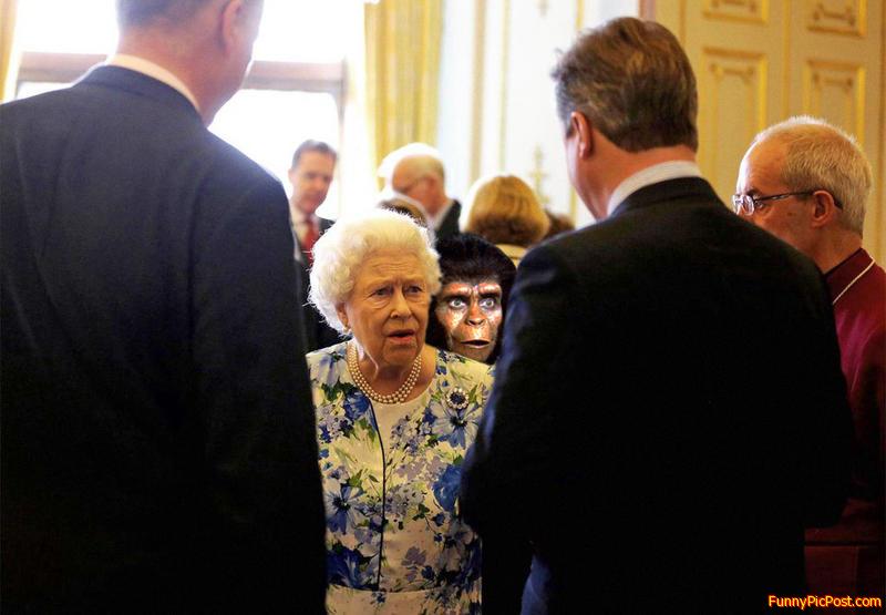 The Queens Monkey