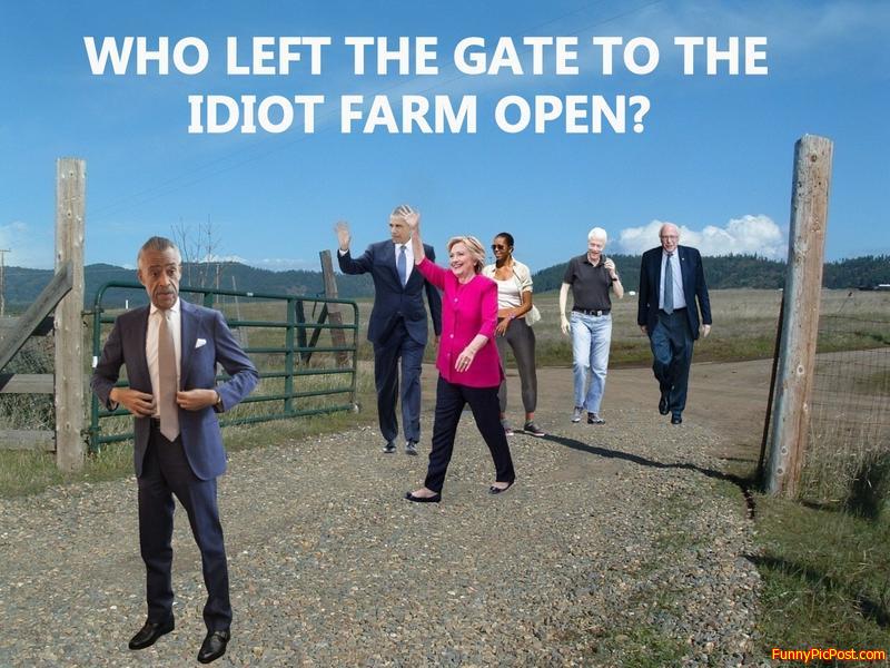 Funny Pic