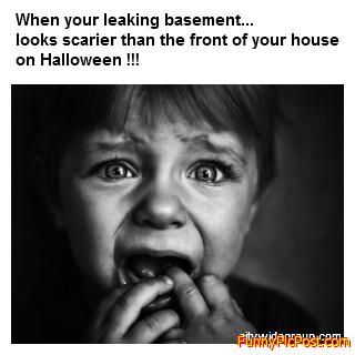 Funny Pic