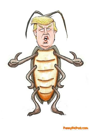 Why people hate Trump!