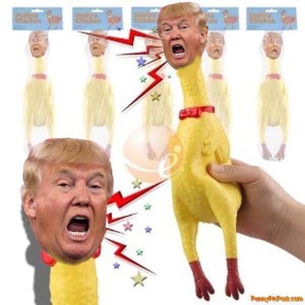 Chicken shit when squeezed shouts 'I don't believe it'
