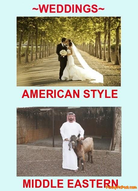 Funny Pic