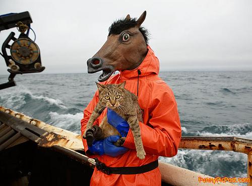 Funny Pic