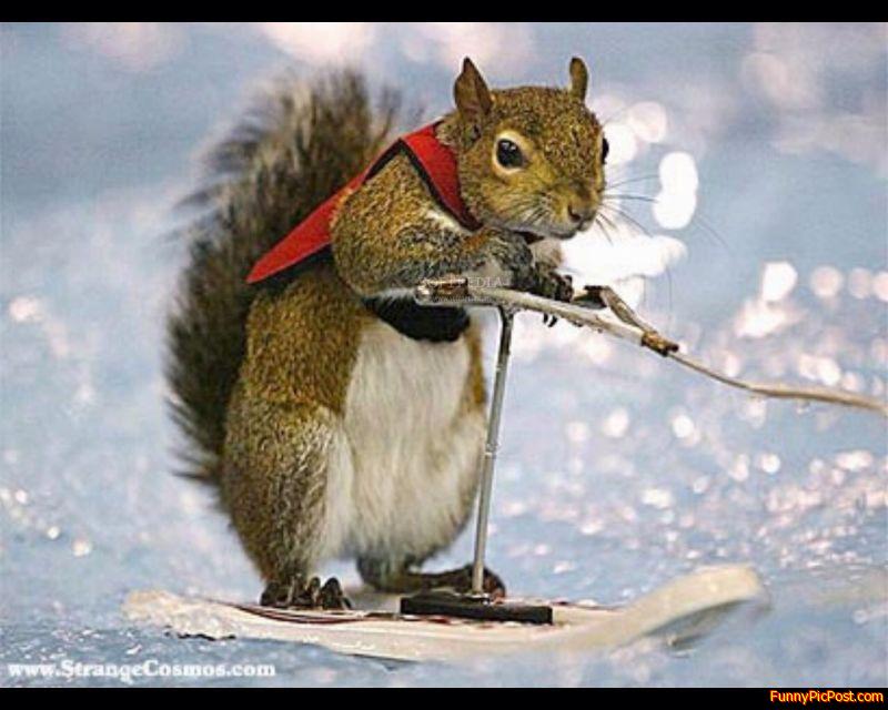 Funny Pic