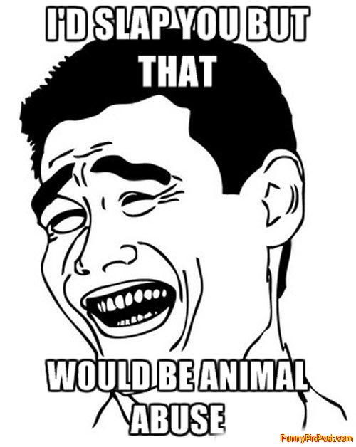 Funny Pic