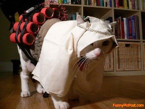 Funny Pic