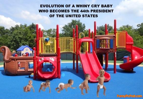 Funny Pic