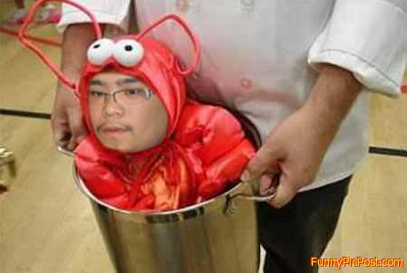 Funny Pic
