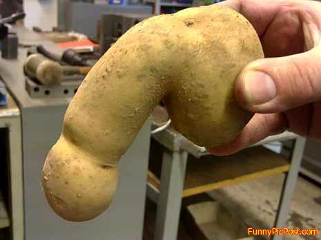 Funny Pic