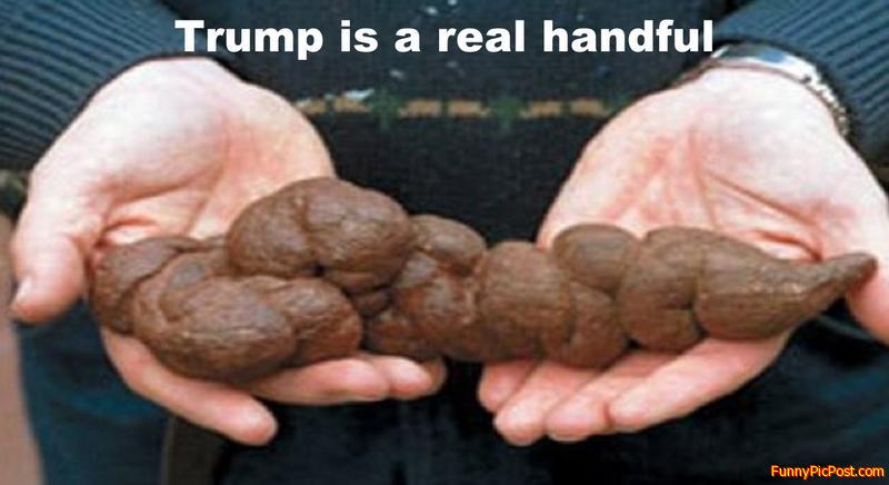 Funny Pic