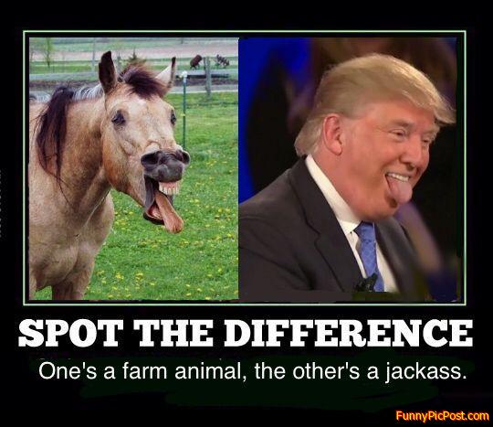 Funny Pic