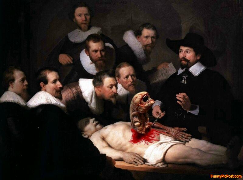 Funny Pic
