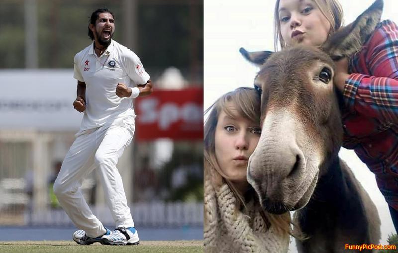 Funny Pic