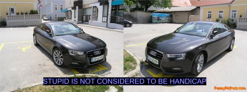 Art of parking of the handicaped mind.