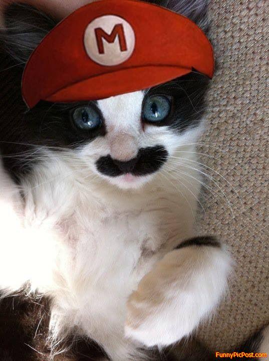Funny Pic