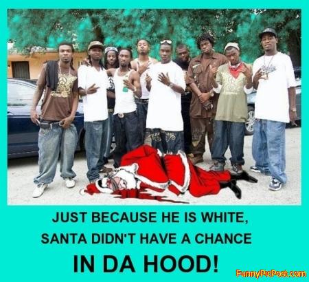 Funny Pic