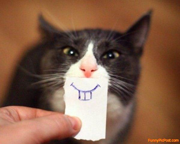 Funny Pic